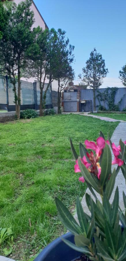 Pensiunea Andra Costinești Exterior foto